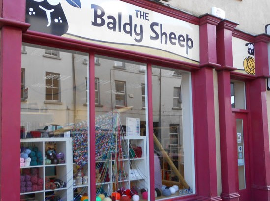 the baldy sheep
